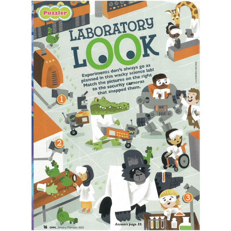 OWL: Ages 9-13 (8 issues) - Bayard Magazines