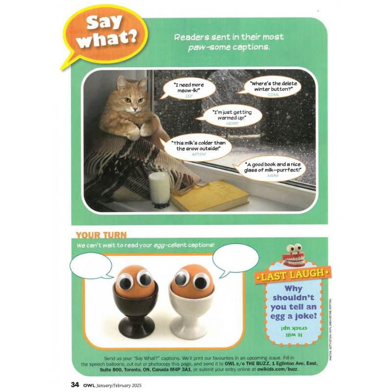 OWL: Ages 9-13 (8 issues) - Bayard Magazines
