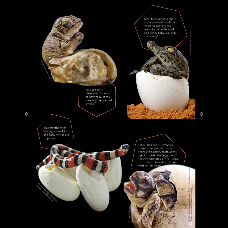 DiscoveryBox: Age 7-14