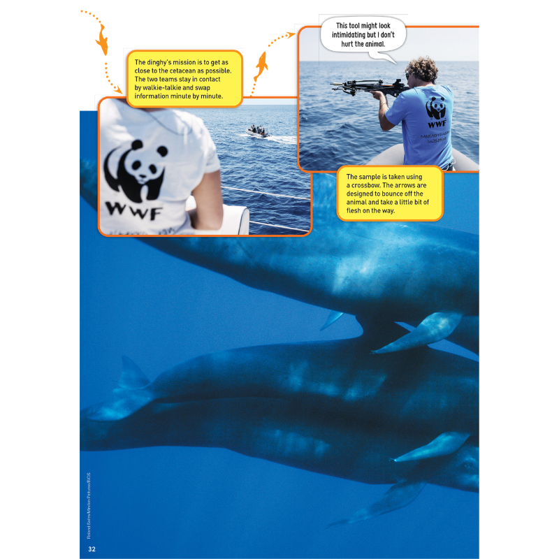 DiscoveryBox: Age 7-14 - Bayard Magazines