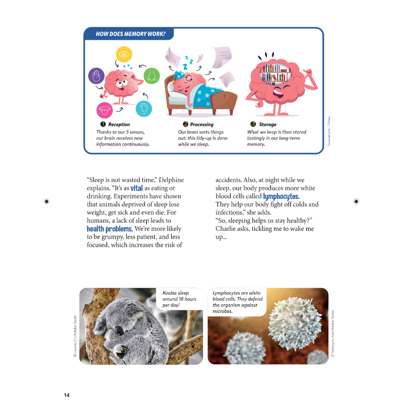 DiscoveryBox: Age 7-14 - Bayard Magazines