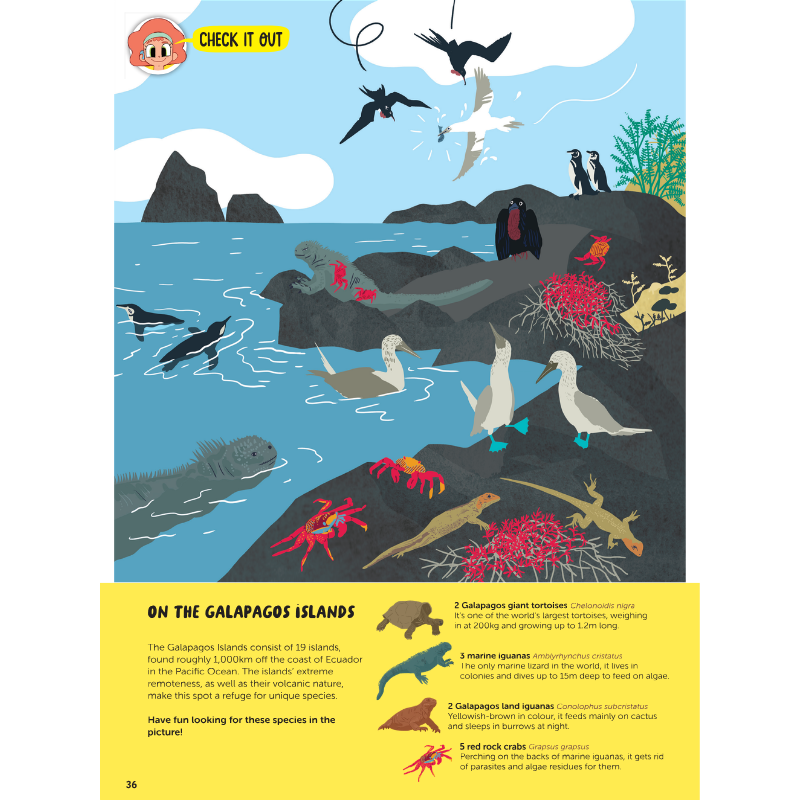 DiscoveryBox: Age 7-14 - Bayard Magazines
