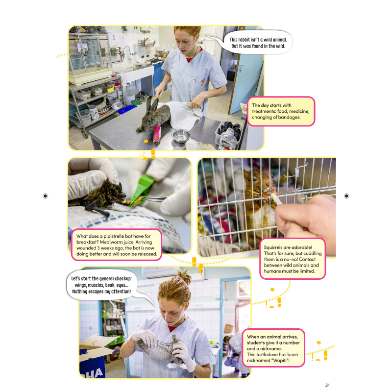 DiscoveryBox: Age 7-14 - Bayard Magazines