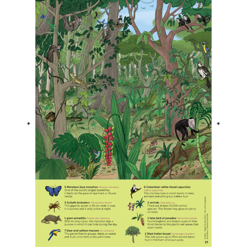DiscoveryBox: Age 7-14 - Bayard Magazines