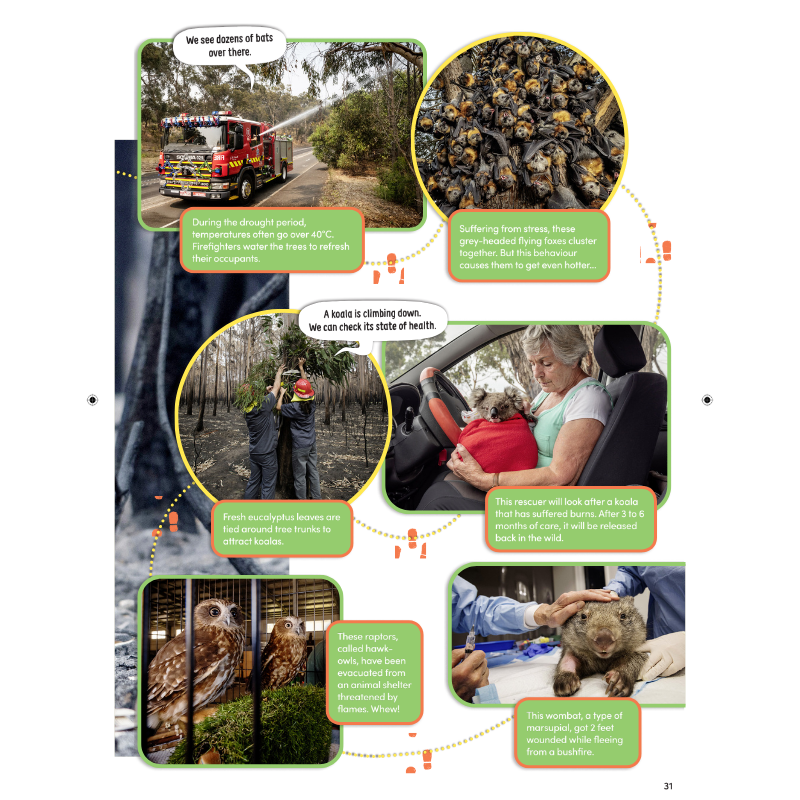 DiscoveryBox: Age 7-14 - Bayard Magazines