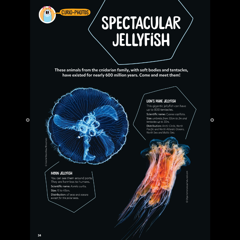 DiscoveryBox: Age 7-14 - Bayard Magazines