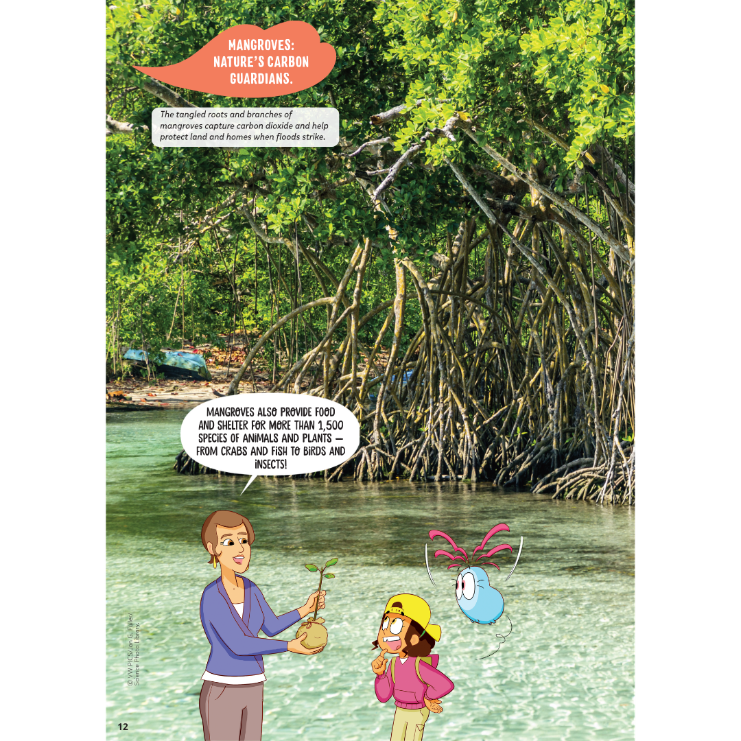 DiscoveryBox: Age 7-14 - Bayard Magazines