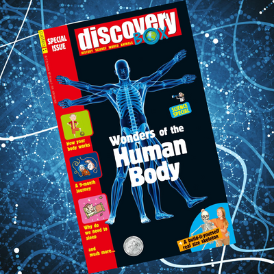 DiscoveryBox Special Edition: Wonders of the Human Body - Bayard Magazines