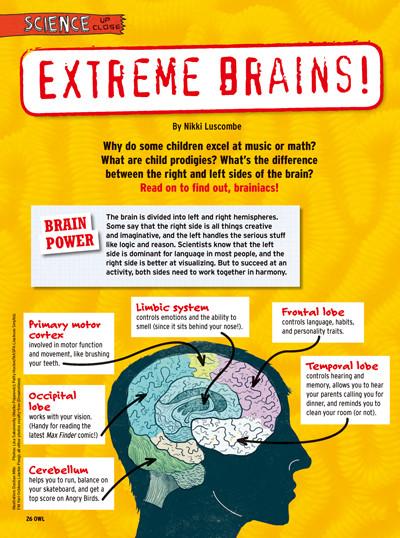 OWL: Ages 9 - 13 - Bayard Magazines